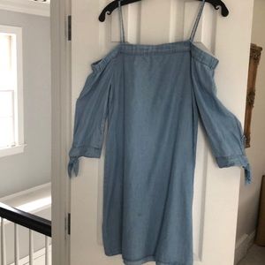 Ella moss denim dress